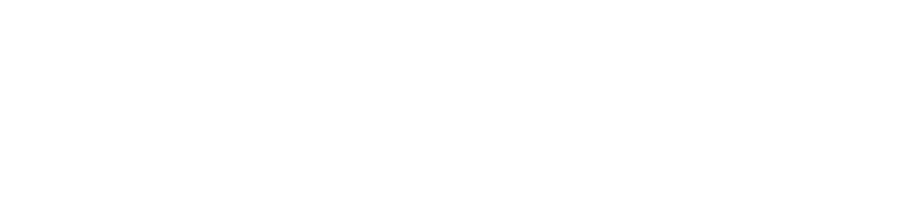 WAVsmart logo